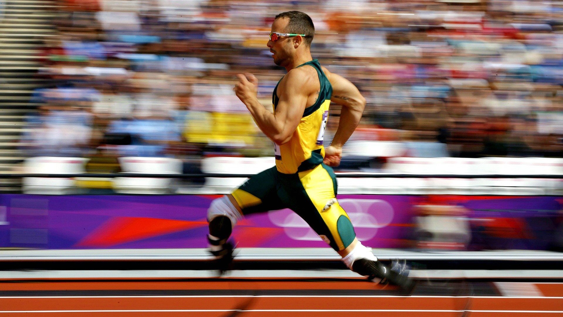 体育数据揭示比赛趋势