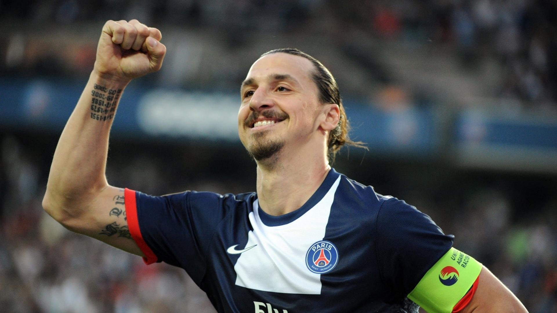 体育赛事观众统计报告